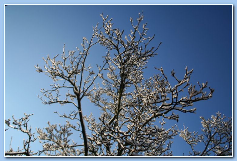 Arnhem Snow 006